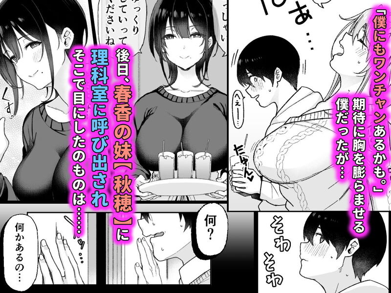 「幼馴染のお姉さんが寝取られたので、僕はあなたの妹とセックスしてもいいですか？」男女4人の想いが交錯する、甘くほろ苦いBSS。 春花に彼氏がいないと知って、淡い期待を抱くが…。